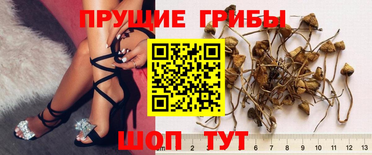Галлюциногенные грибы Psilocybe  Вход с VPN  Рузаевка 