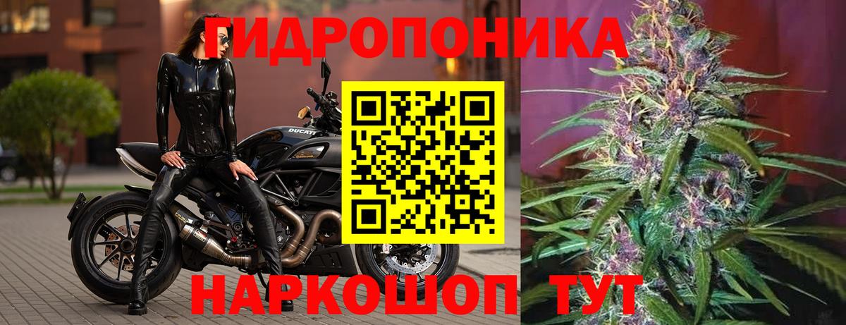МАРИХУАНА White Widow Рузаевка